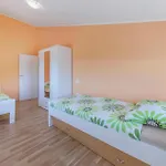 3 Bedroom Gorgeous In Apartamento *